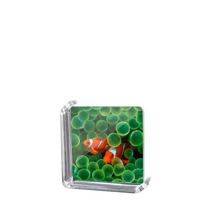 GLASS FRAME -ROTATING Frame (S) 120x120