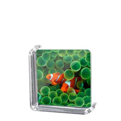 GLASS FRAME -ROTATING Frame (M) 145x145