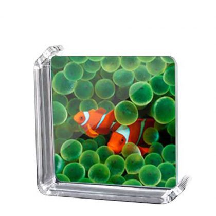 GLASS FRAME -ROTATING Frame (L) 175x175