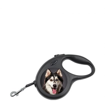 PET LEASH small