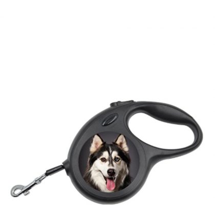 PET LEASH big