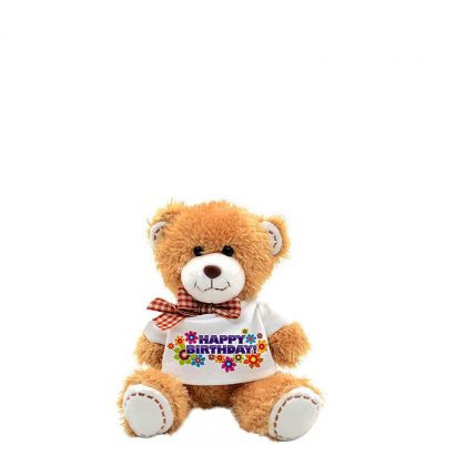 TEDDY BEAR - 18cm (with T-Shirt)