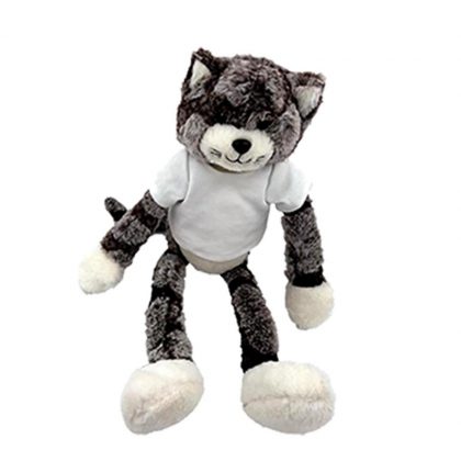 TEDDY CAT- 26 cm (withT-Shirt)